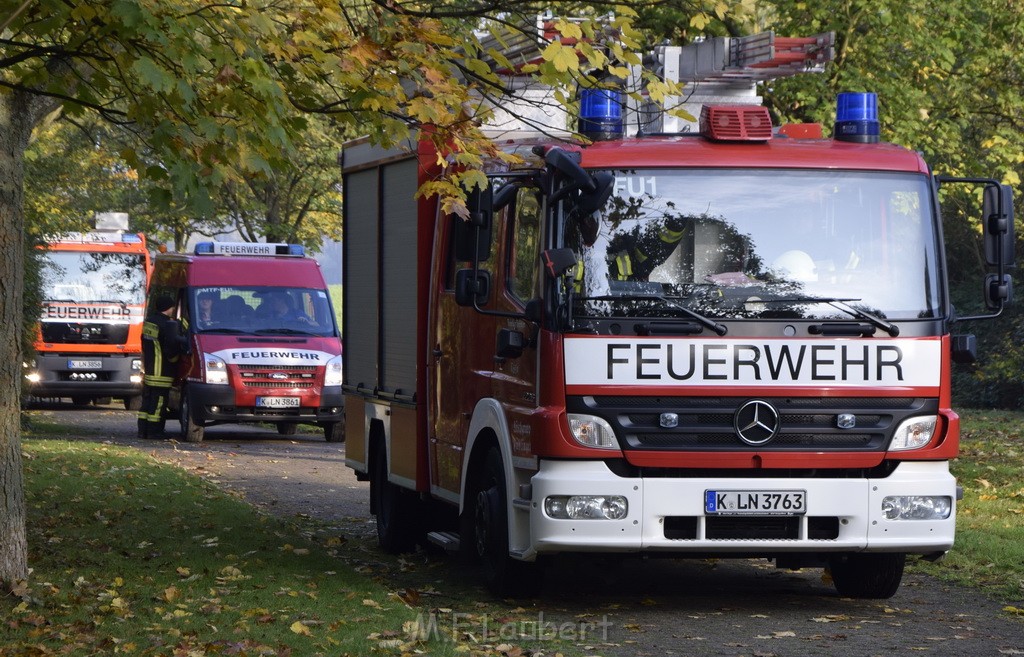 Feuer 1 brannten 3 Lauben Koeln Fuehlingen Kriegerhofstr P103.JPG - Miklos Laubert